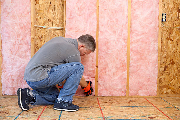 Best Cellulose Insulation in Cherryvale, KS