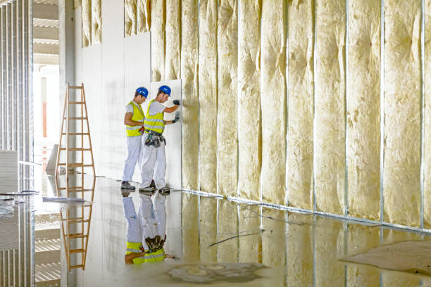 Best DIY Insulation Kits and Guidance in Cherryvale, KS